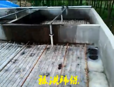 淀粉廢水處理現場