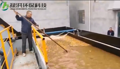 帶式壓濾機運行現場