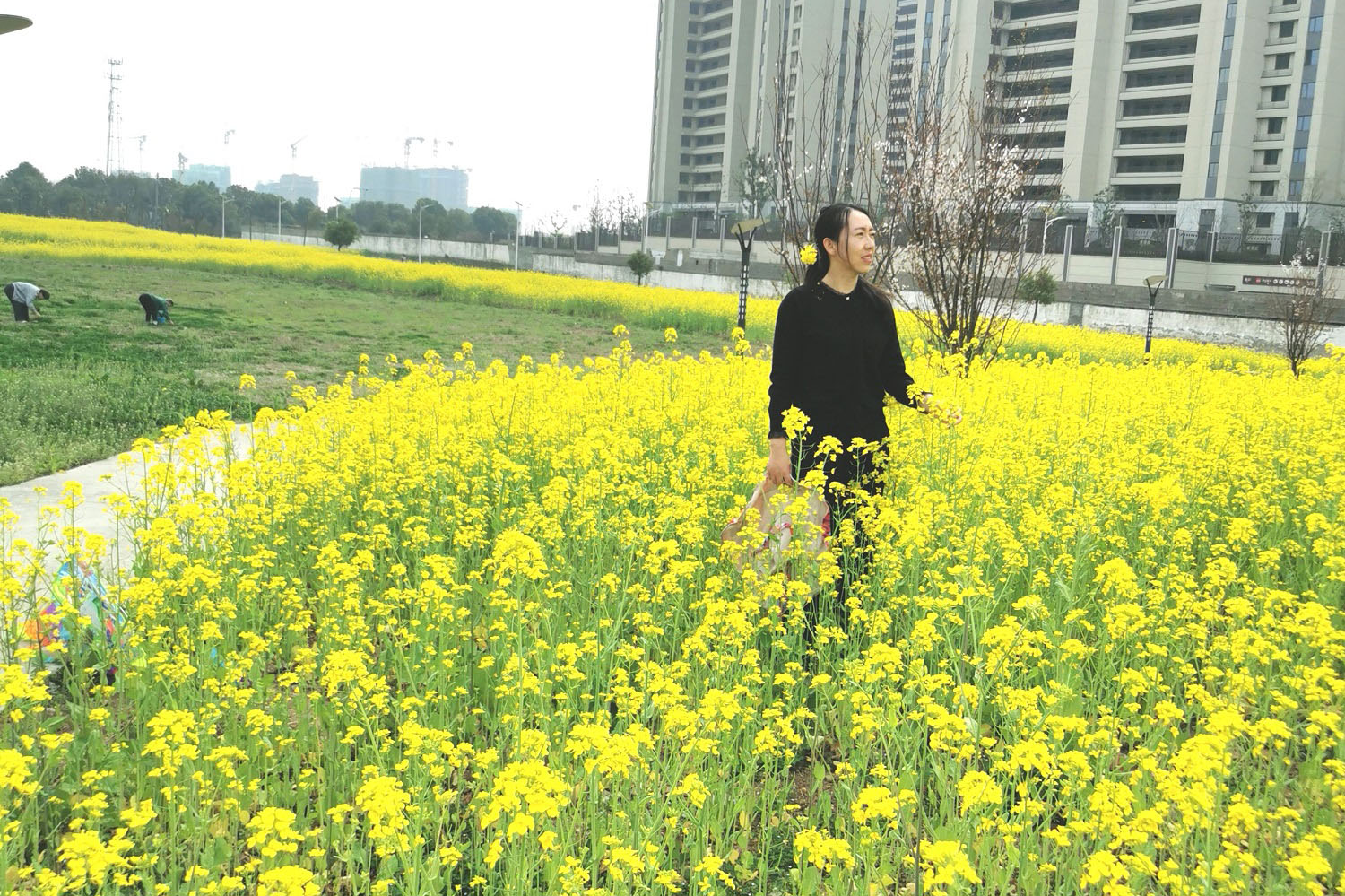 微信圖片_202205251537342.jpg